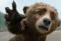 Immagine 4 - Paddington in Perù, immagini del film di Dougal Wilson con Olivia Colman, Antonio Banderas, Emily Mortimer