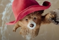 Immagine 8 - Paddington in Perù, immagini del film di Dougal Wilson con Olivia Colman, Antonio Banderas, Emily Mortimer