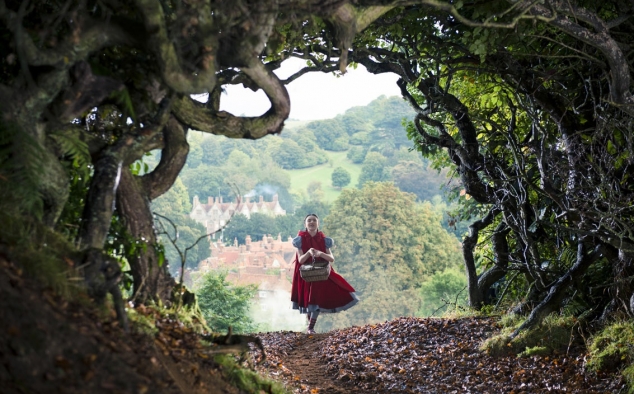 Immagine 2 - Into the Woods