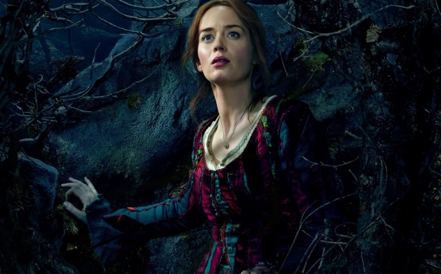 Immagine 6 - Into the Woods