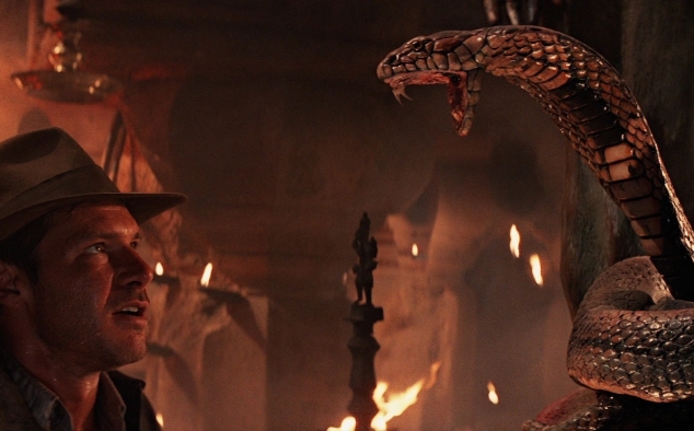 Immagine 6 - Indiana Jones e il tempio maledetto, foto.