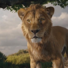 Mufasa: Il Re Leone, arriva al cinema il prequel de Il Re Leone del 2019