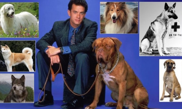 I cani più famosi del cinema…